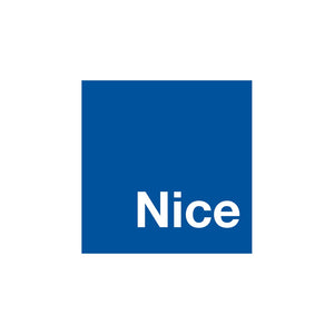 Nice logo