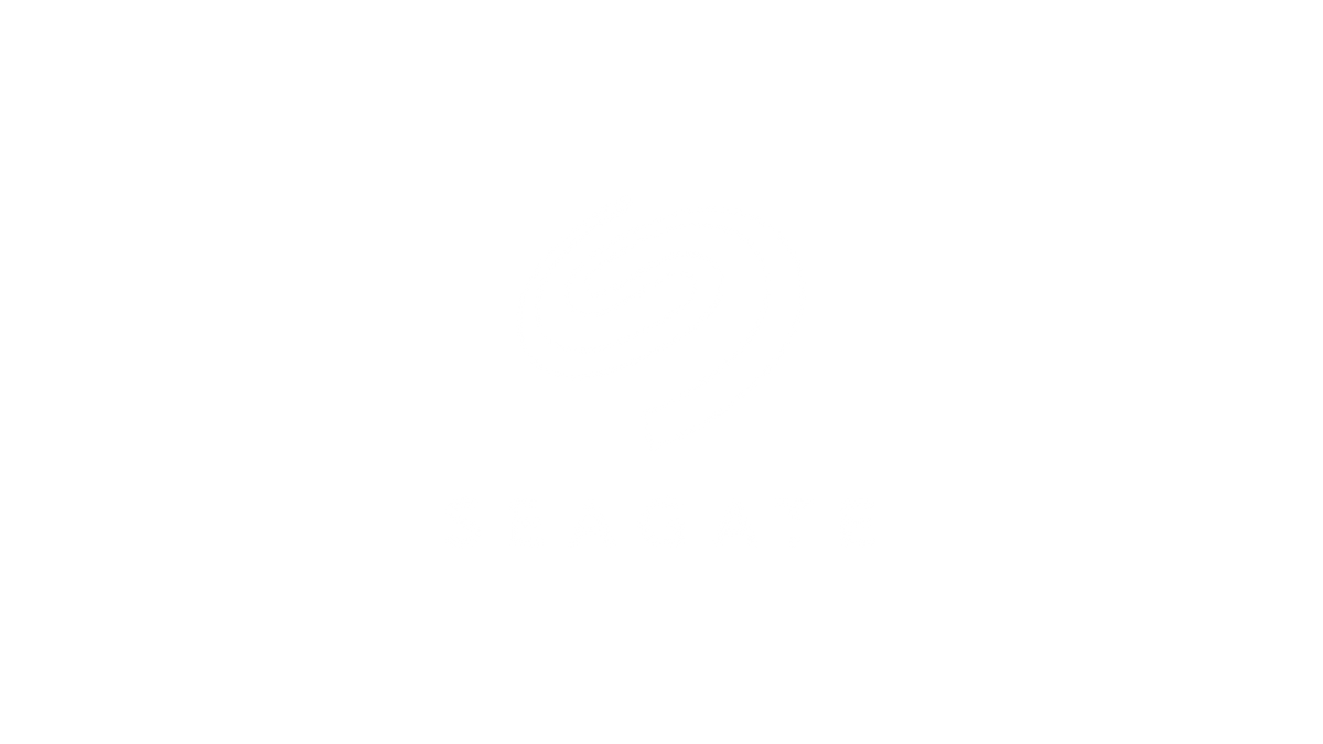 Seagate